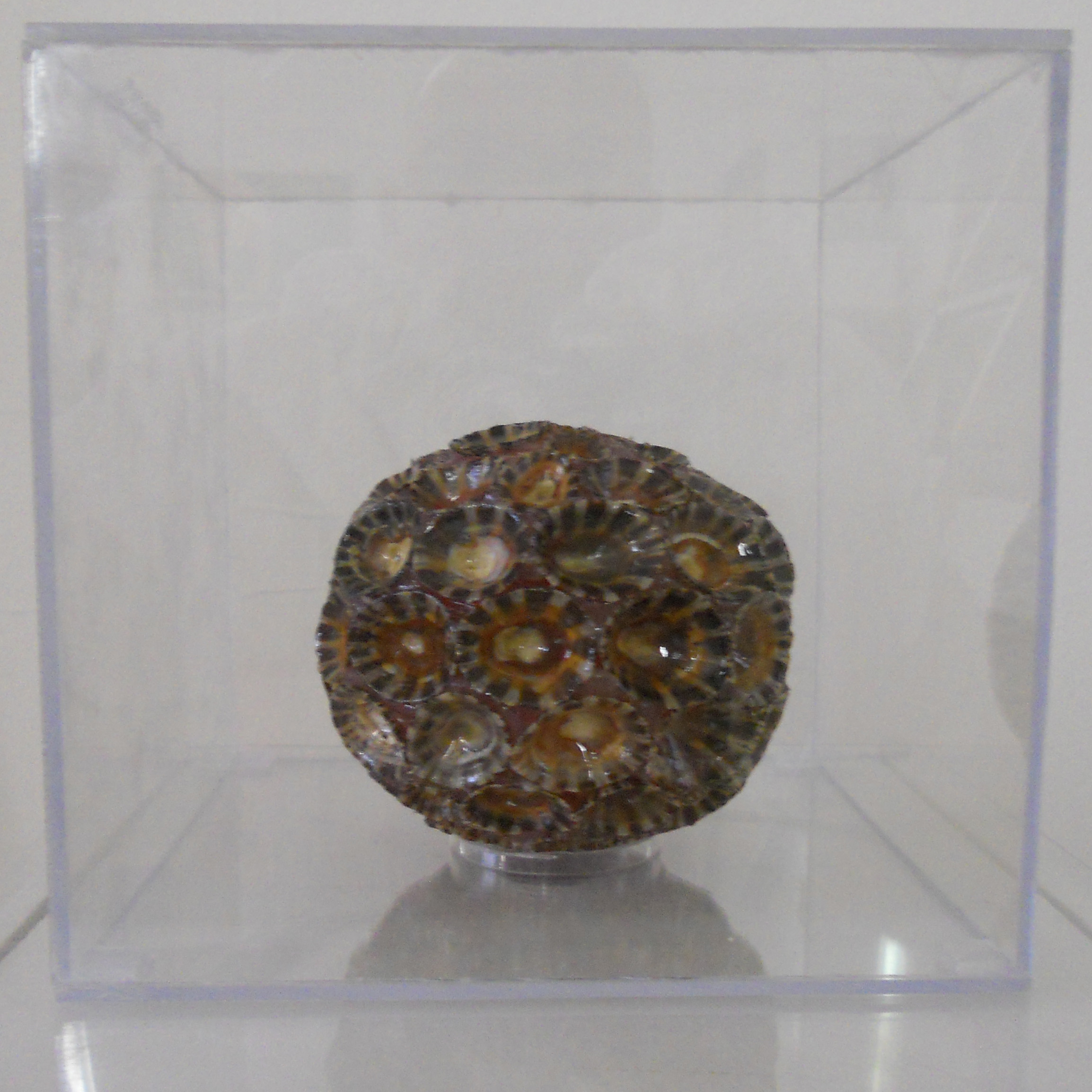 MW 28.4 (Hohe Aufl&ouml;sung)